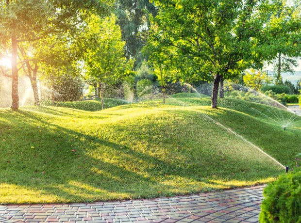 Landscaping and Irrigation